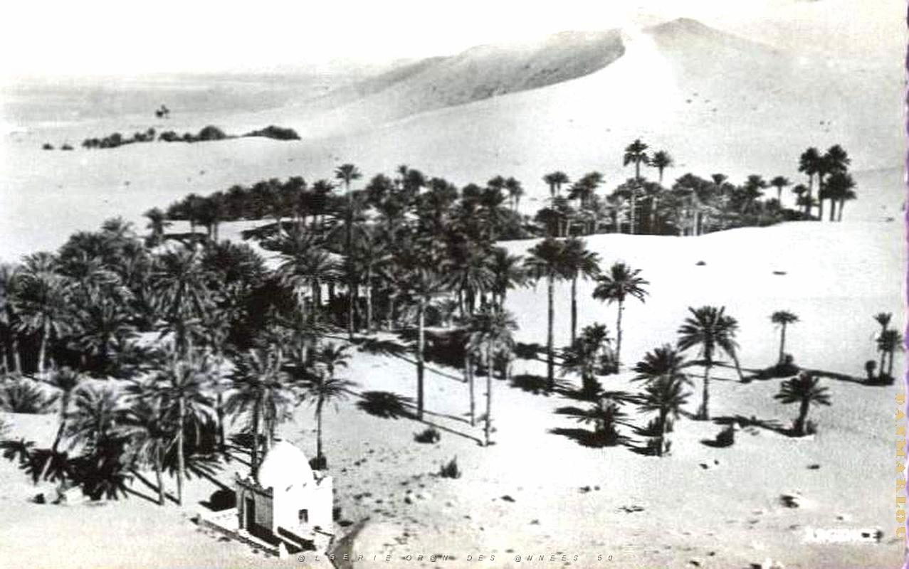 Taghit 016.jpg